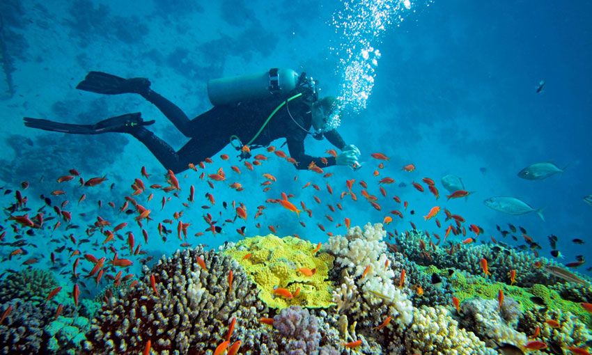 Diving in Halong Bay