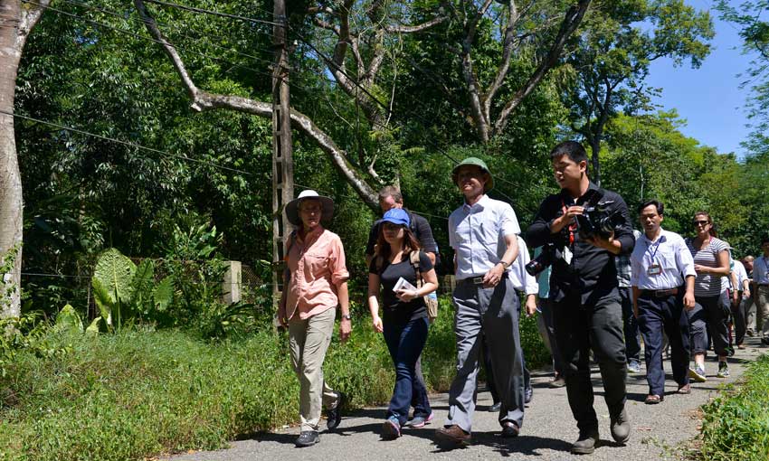 Cuc Phuong National Park