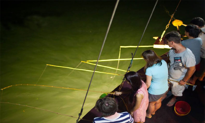 Squid Fishing in Halong Bay