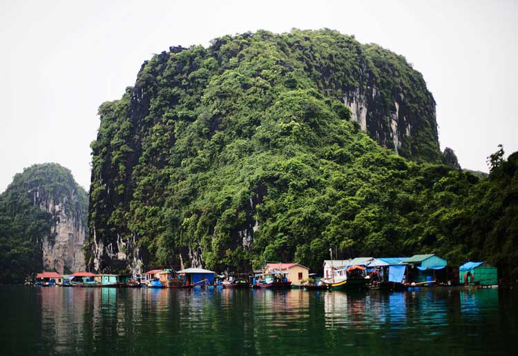 Cap La Fishing Village