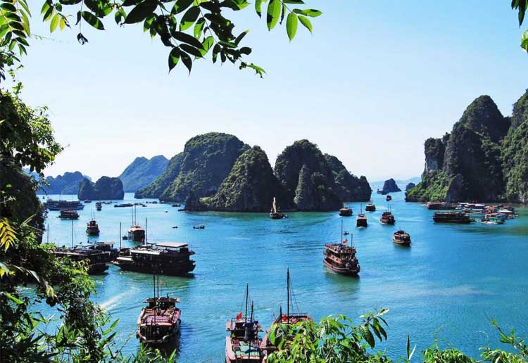 Hoa Cuong Fishing Village