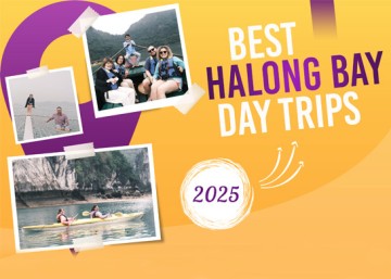 The Best Halong Bay Day Trips for 2025: Your Ultimate Cruise Guide