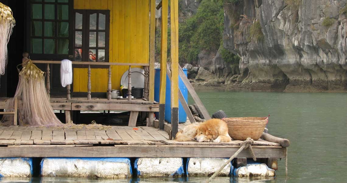 Hoa Cuong Fishing village