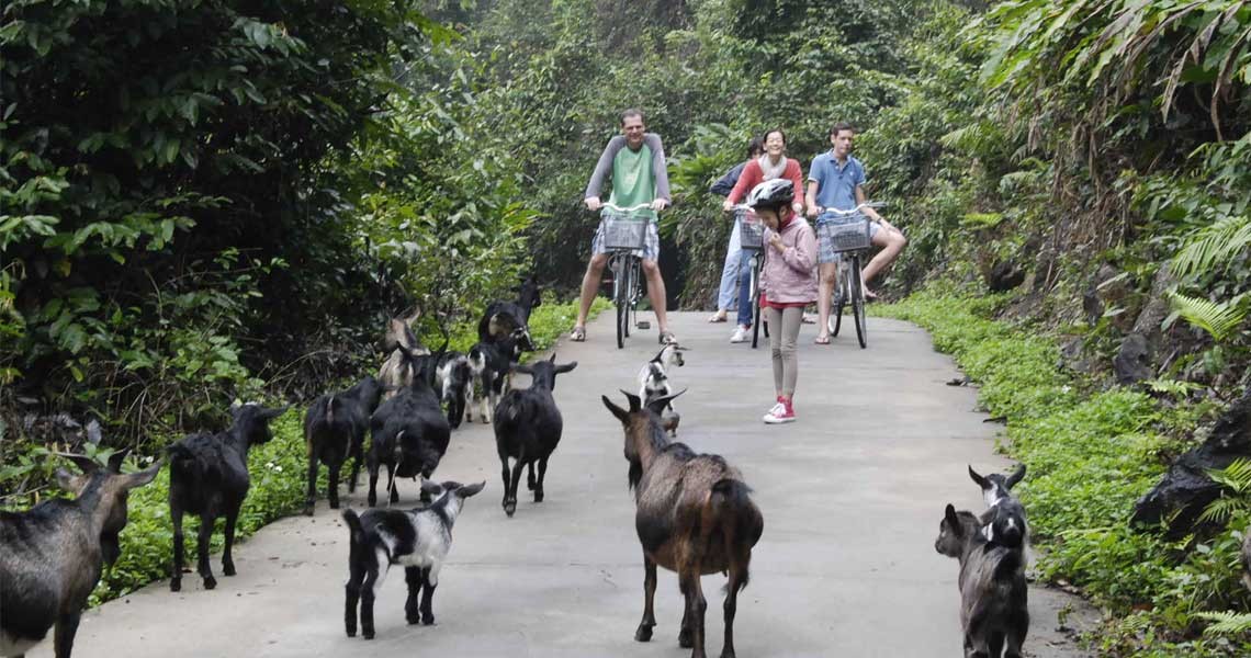 Viet Hai village