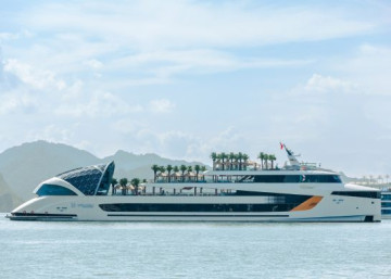 Dolphin Halong Cruise
