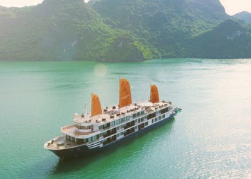Erina Cruise
