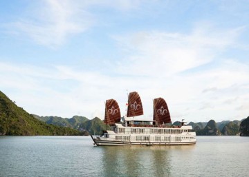 Lily Cruise