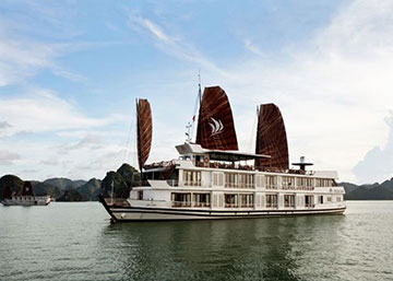 MilaLux Cruise