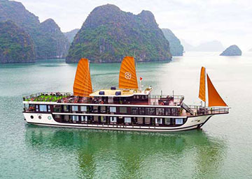 Peony Cruise
