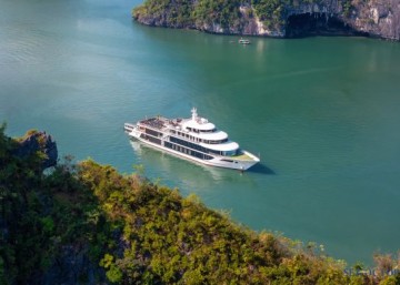 Sea Octopus Cruise