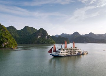 Verdure Lotus Premium Cruise