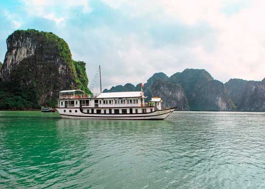 Cozy Bay Cruise