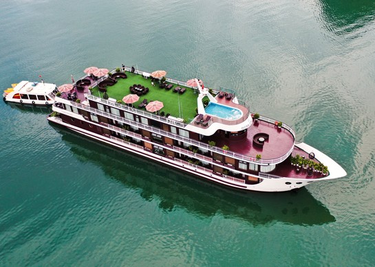 Dora Cruise