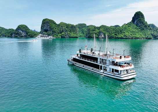 Iris Cruise