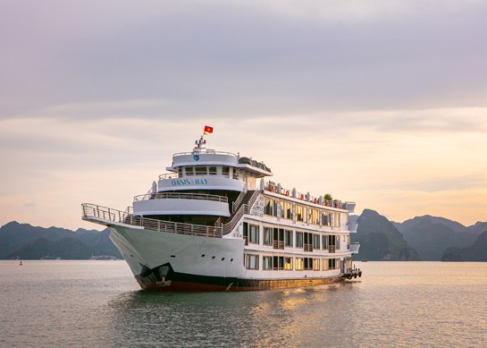 Oasis Bay Party Cruise
