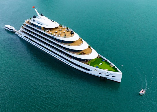 Sea Stars Cruise