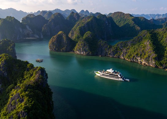 Stellar Of The Seas