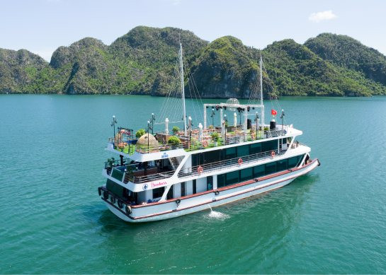 Sweetness Cruise