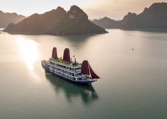 Verdure Lotus Cruise Luxury