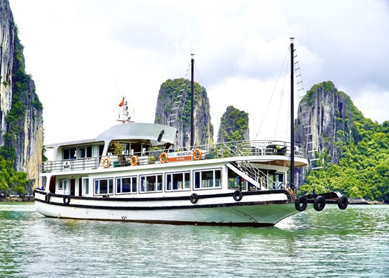 Wego Day Cruise