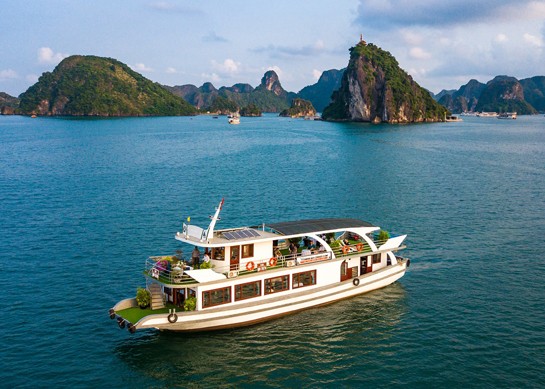 Wonderbay Cruise