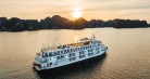 Ambassador Signature Cruise