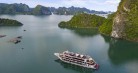 Aspira Cruise