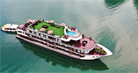 Dora Cruise