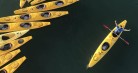 Erina Cruise