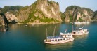 Halong Sen Cruise