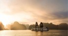 Lily Cruise