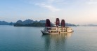 Orchid Trendy Cruise