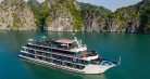Rosy Cruise