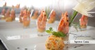 Signature Halong Cruise