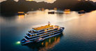 Velar of The Sea Cruise