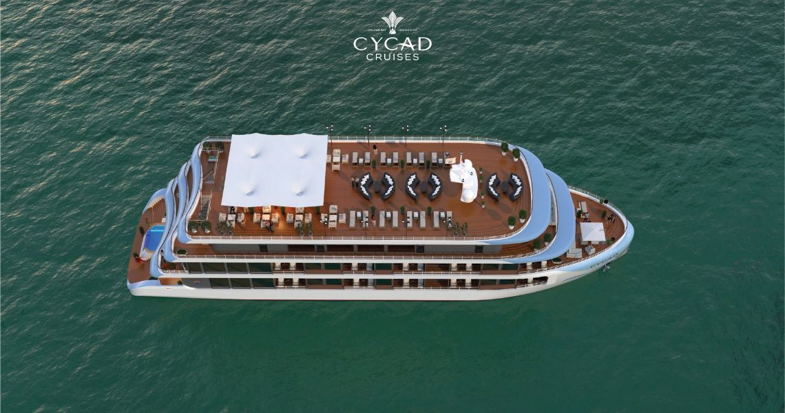 Cycad Cruise