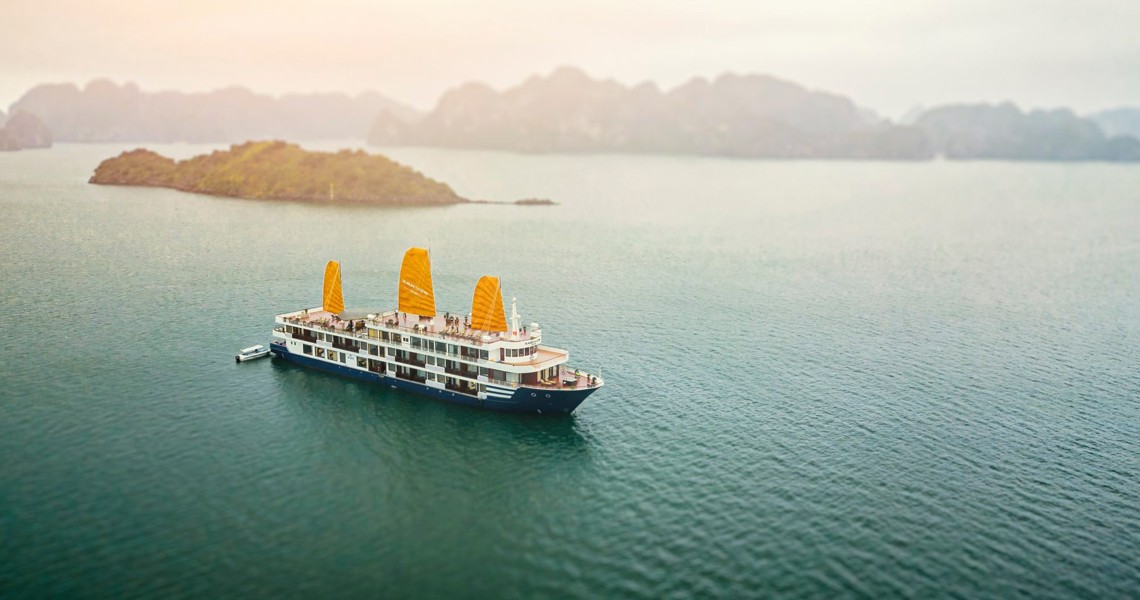 Erina Cruise