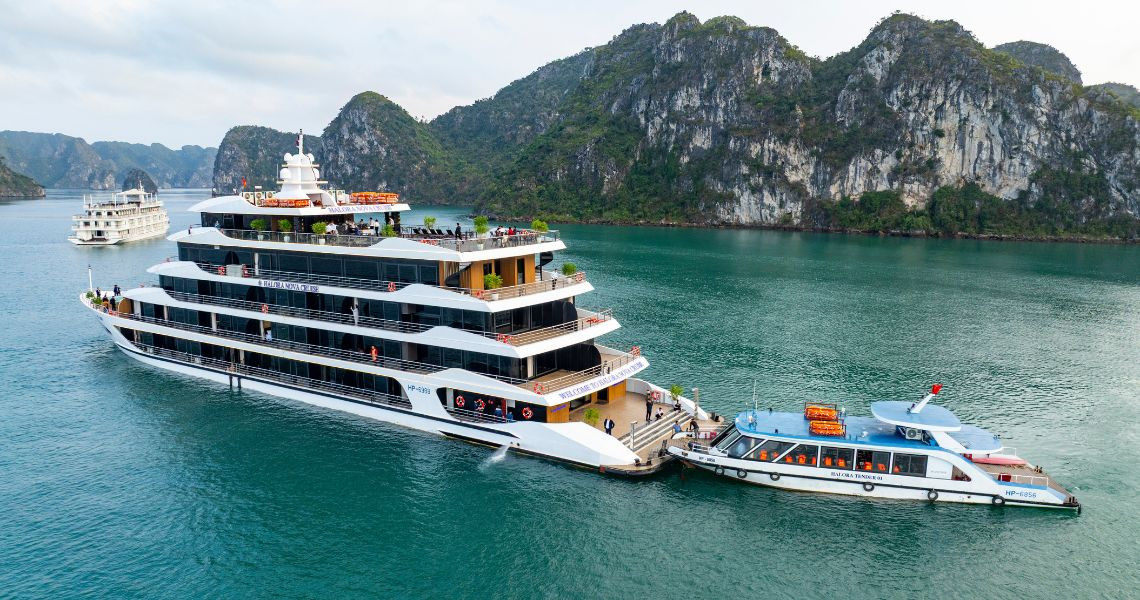 Halora Nova Cruise
