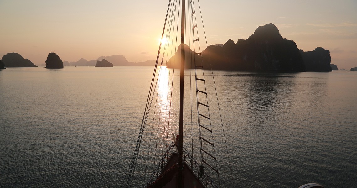 Renea Cruises