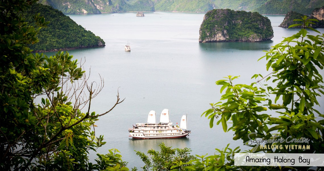 Signature Royal Cruise