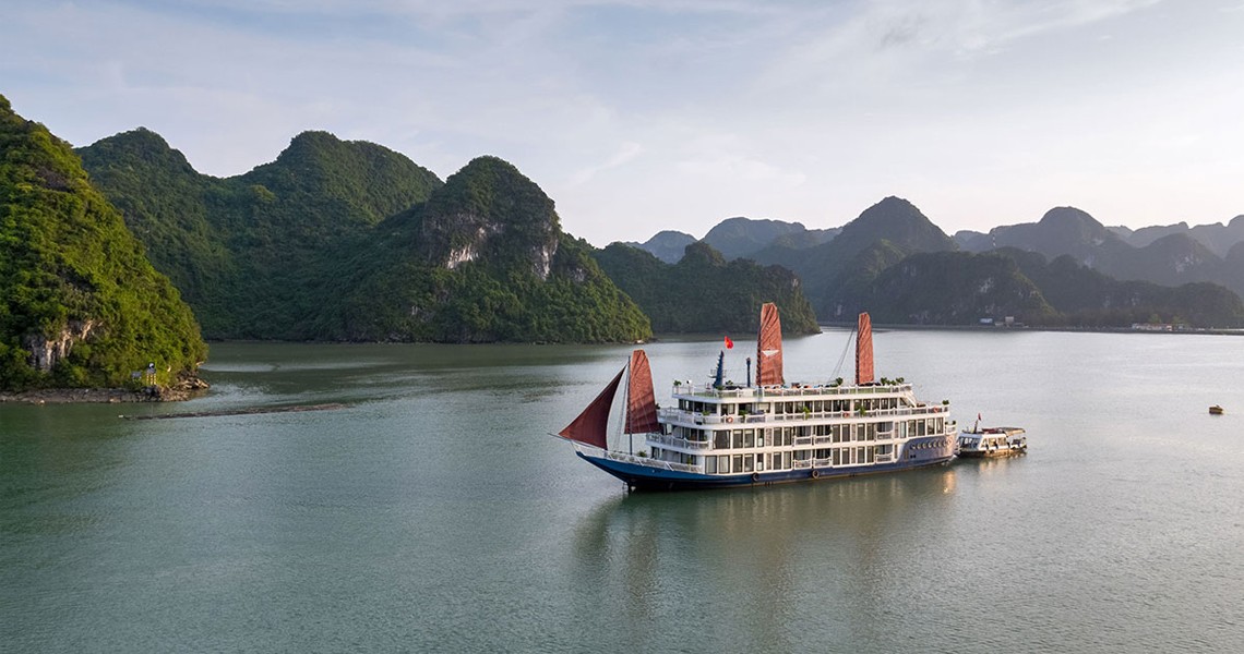 Verdure Lotus Premium Cruise