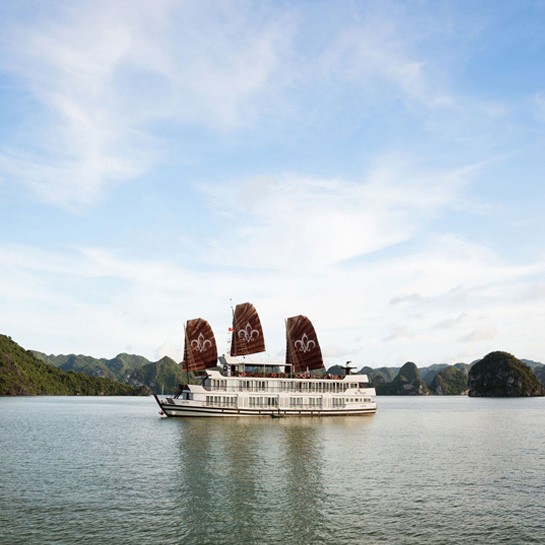Lily Cruise 2 Days 1 Night