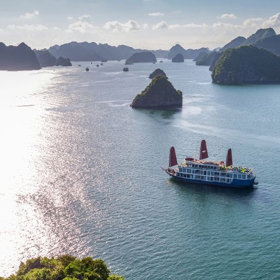 Lotus Luxury Cruise 2 Days 1 Night