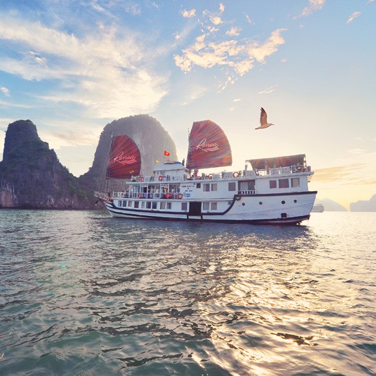 Renea Cruises 3 Days 2 Nights