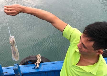 HA LONG BAY – LAN HA BAY