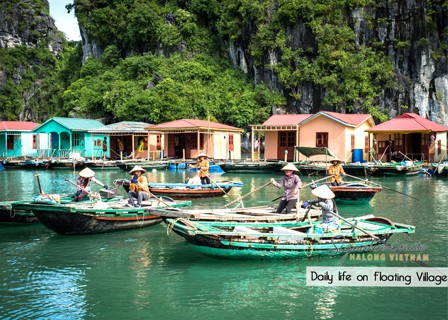 Cong Dam Area (B, L, D)