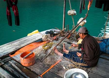 Tuan Chau Harbor - Cua Van Floating Village - Tien Ong Cave