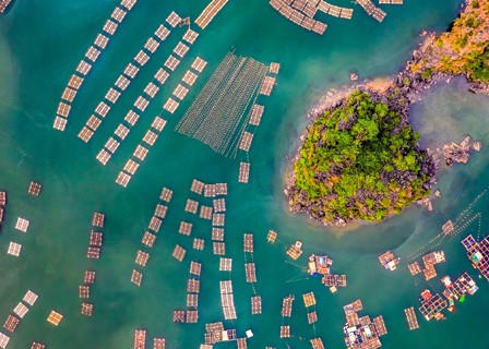 Dragon Island - Da Xep Nature Park - Vung Vieng fishing village - Phao Dai Rock - Tien Ong Cave - Con Coc Rock (B, L, D))