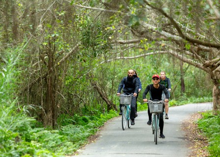 Lan Ha Bay – Discover Viet Hai Village – Cat Ba Island: Join Tai Chi, bicycle, swim and kayak in Ba Trai Dao Beach (B, L, D)